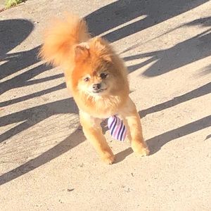 Meet your Posher, Atiyah